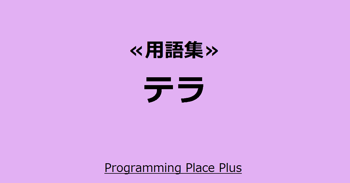 テラ Programming Place Plus 用語集