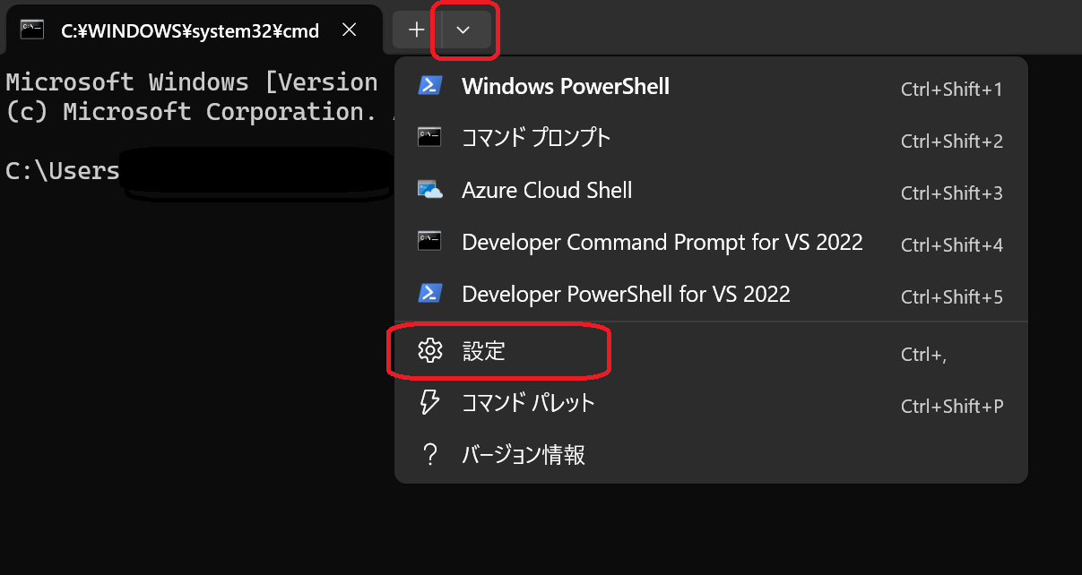 ターミナルの設定